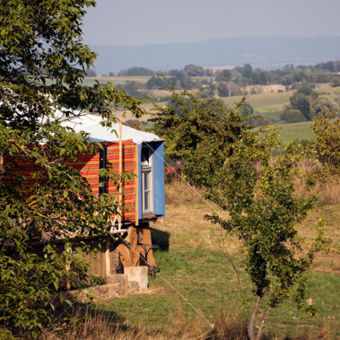 Erste Impressionen – Im Sommer geboren