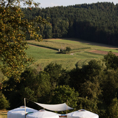 Erste Impressionen – Im Sommer geboren