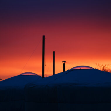 Herbst und endogenes Heroin