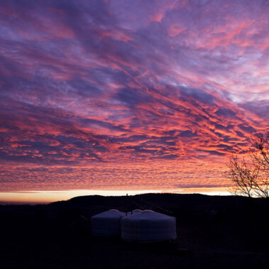 Herbst und endogenes Heroin