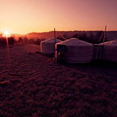 Morgenstund im Hühnergrund