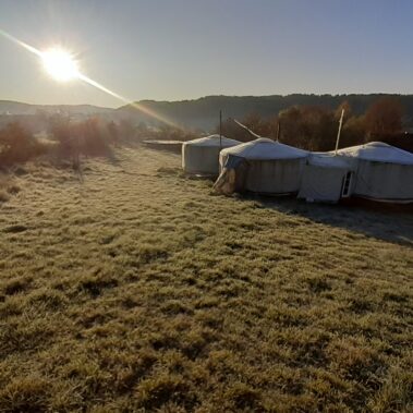 Bilder vom Sommer und Herbst – Gäste, Feste, Tiere, Kinder, wow!