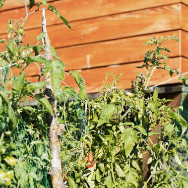 Bilder vom Sommer und Herbst – Gäste, Feste, Tiere, Kinder, wow!