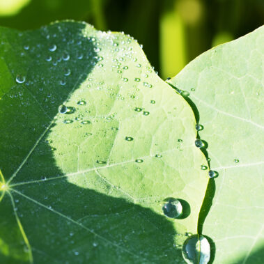 Bilder vom Sommer und Herbst – Gäste, Feste, Tiere, Kinder, wow!