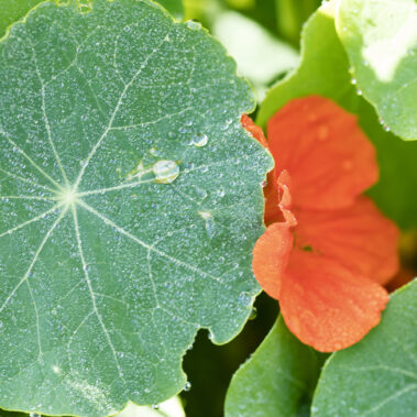 Bilder vom Sommer und Herbst – Gäste, Feste, Tiere, Kinder, wow!