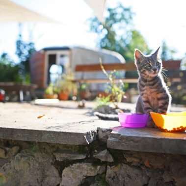 Unser neues Zuhause - die Bergstraße in Velden