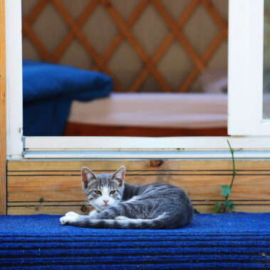 Unser neues Zuhause - die Bergstraße in Velden