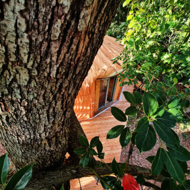 Terrassen und Außengelände