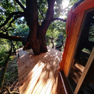 Holzterrasse an Jurte mit großem Baum – Wohnen im Einklang mit der Natur
