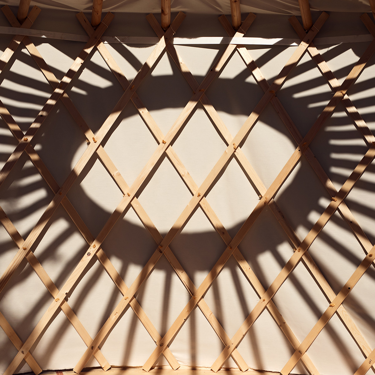 Jurtenwand mit Holzstruktur und Schatten – Beratung bei Fragen rund um Aufbau und Nutzung
