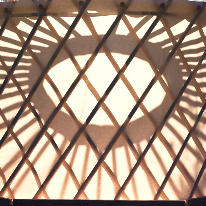 Sonnenstrahlen fallen auf das hölzerne Scherengitter im Inneren einer Jurte – Hilfe bei Fragen und Problemen