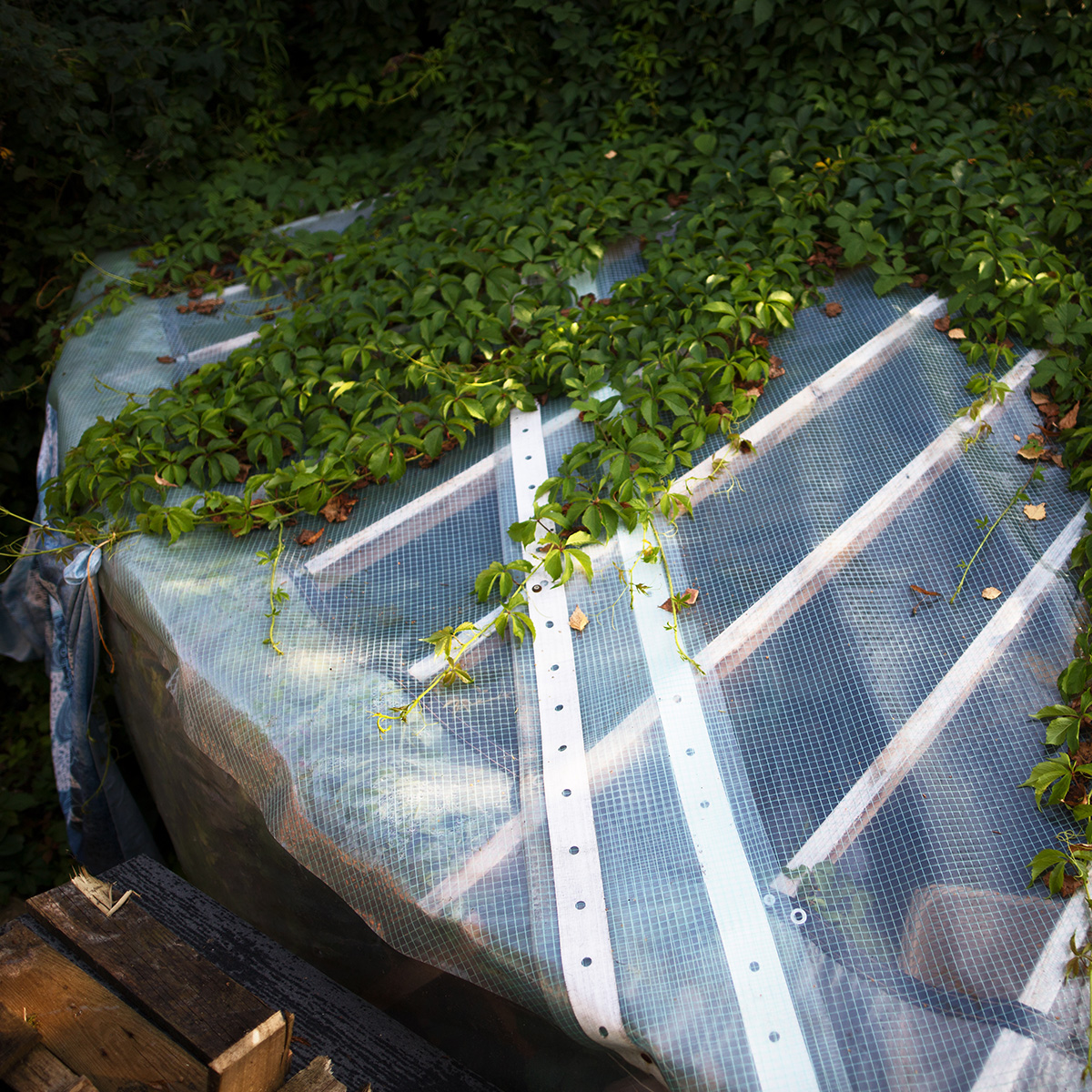 Jurte mit transparenter Abdeckung im Garten – Rückzugsort im Grünen