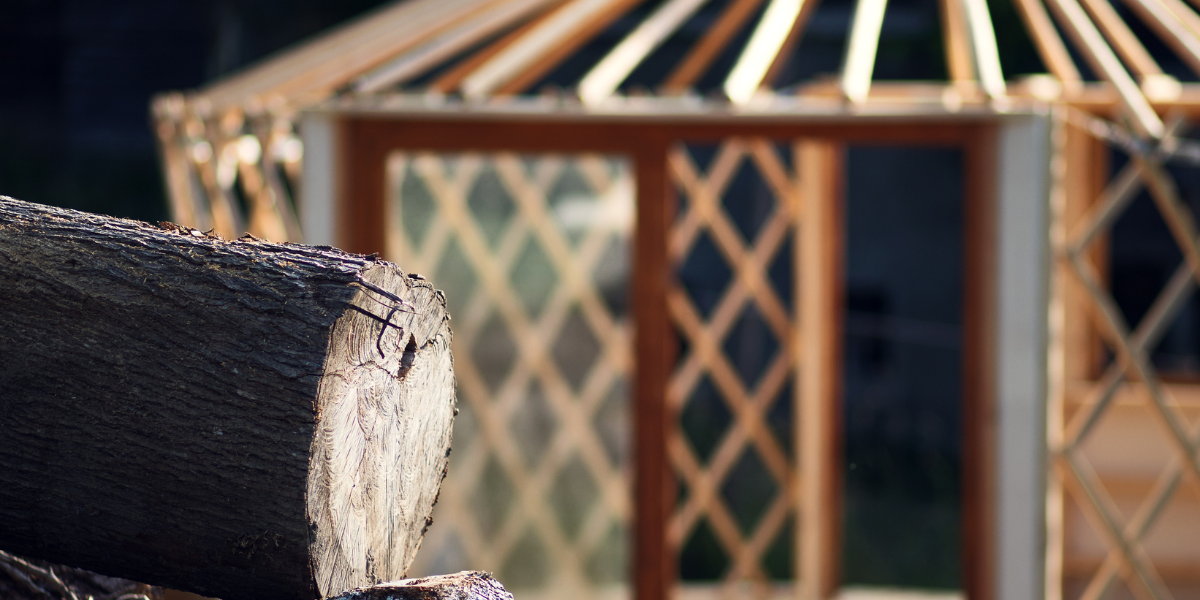 Grüne Pflanze vor geometrischem Jurtenmuster - Symbol für nachhaltiges Leben